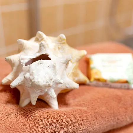 Lindenhardt Daire Creussen